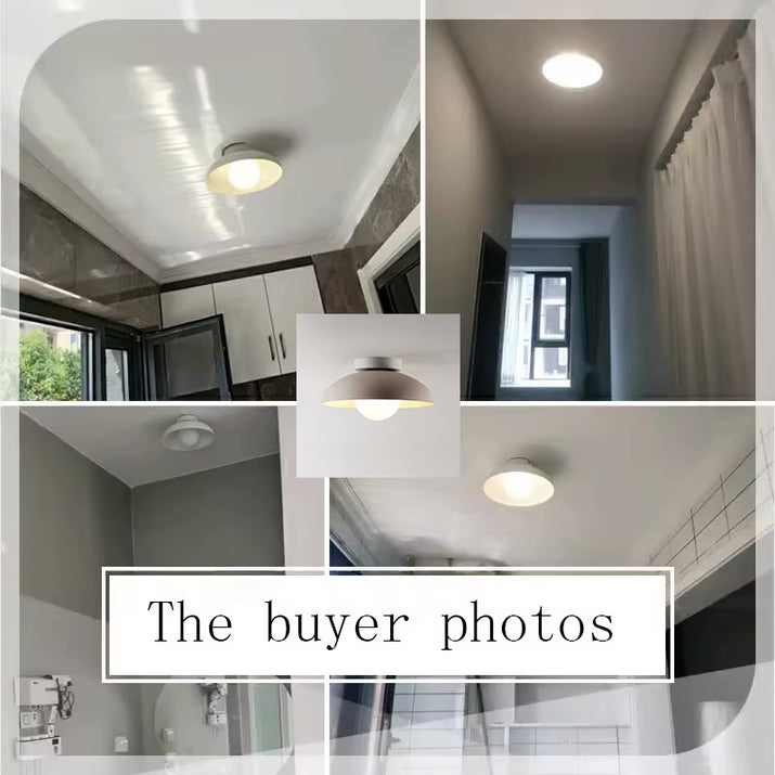 Ceiling Chandelier Modern Hanging Lamps for Lights Indoor Lighting the Light Fixture for Living Room Dining Room Hall Chandelier